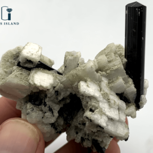 Black Tourmaline Crystals on Albite