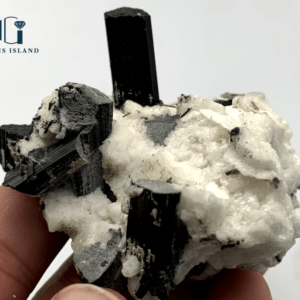 Black Tourmaline Crystals on Albite